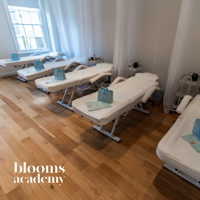 Eyebrow Courses MoulshamBlooms Beauty Academy & Salon